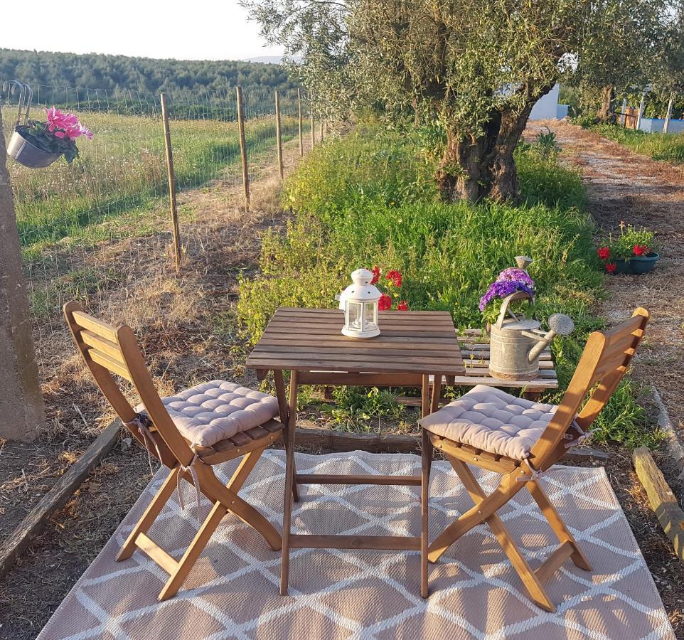 Casa Hnobre Daire Santarém Dış mekan fotoğraf